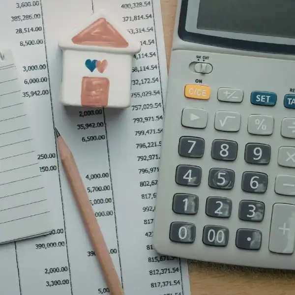 Image of accounts in regards to financial mediation Merton